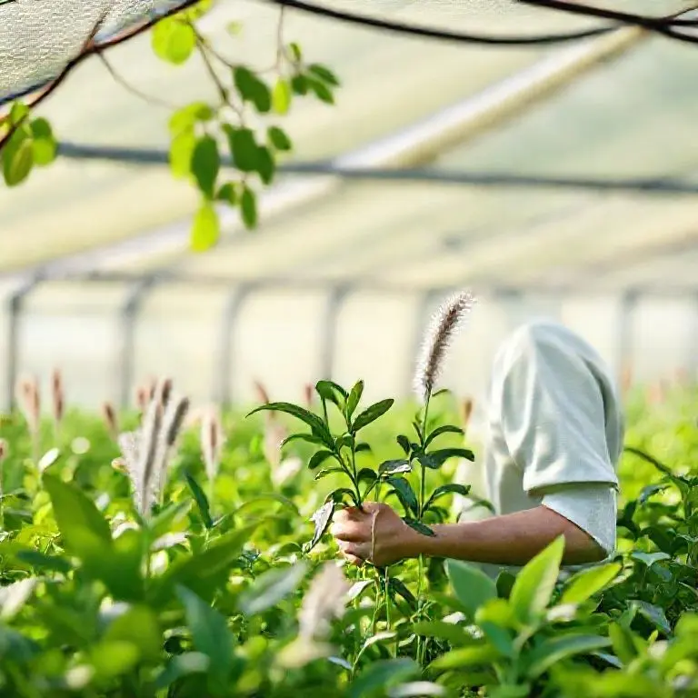 실제 지원 사례 분석: 친환경농산물 지원금의 명암